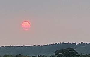 News du lundi 18 aout : semaine 34