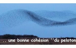 infos du lundi 22 sept de la semaine 39....