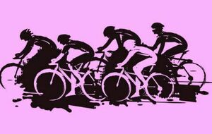 News 47 semaine du 17 &gt;&gt; 23 nov.