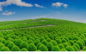 l'Hebdomadaire du lundi 9 mars - semaine n°11