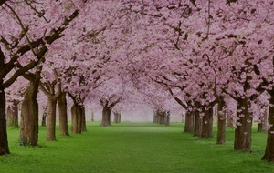 le programme de la semaine n°13 du 23 au 29 mars