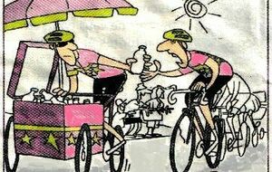NEWS CANICULE !!