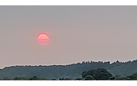 News du lundi 18 aout : semaine 34