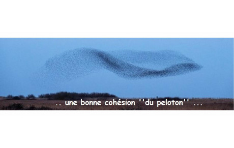 infos du lundi 22 sept de la semaine 39....