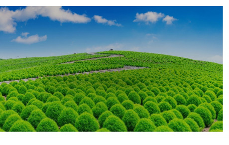 l'Hebdomadaire du lundi 9 mars - semaine n°11