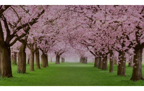 le programme de la semaine n°13 du 23 au 29 mars